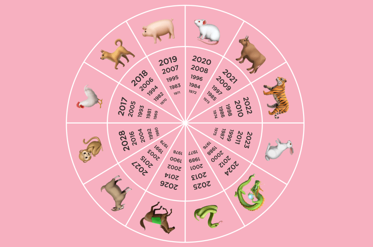 animales representativos segun la personalidad