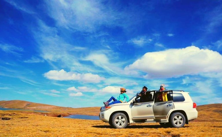 camionetas y utilitarios en ruta argentina