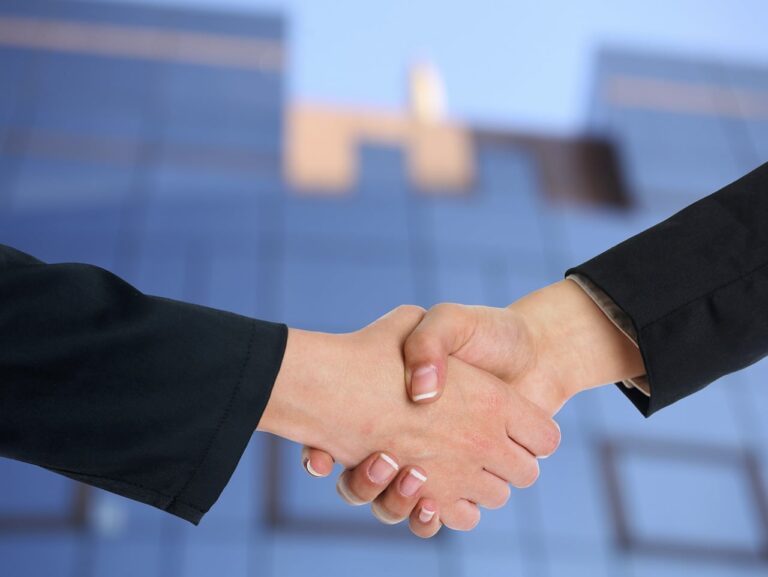 Qué empresas comisionistas en México son ejemplos destacados 35 comisionistas