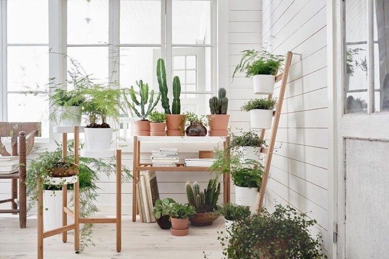 Cómo decorar una galería con plantas y darle vida a tu espacio 22 galeria plantas