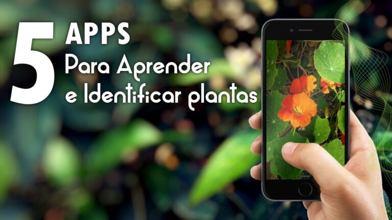 Cómo identificar el nombre de una planta fácilmente 23 identificar plantas