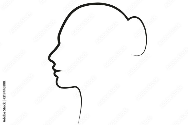 perfil 1