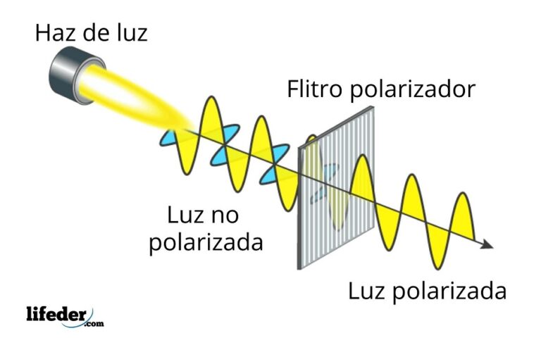 Qué sucede con un diodo Zener en polarización directa 11 polarizacion