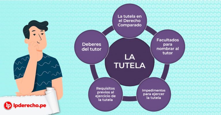 proceso de tutoria legal en argentina