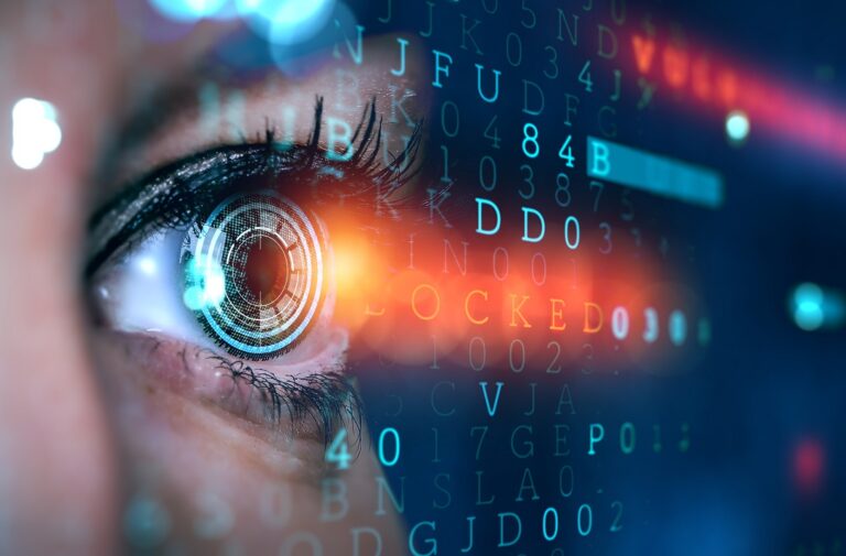 Cómo está organizada nuestra visión del mundo y qué la influye 6 vision